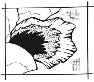 Иллюстрация к книге — Вышиваем гладью цветы и картины [autogen_ebook_id49.jpg]