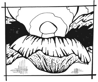 Иллюстрация к книге — Вышиваем гладью цветы и картины [autogen_ebook_id50.jpg]