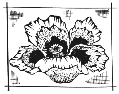 Иллюстрация к книге — Вышиваем гладью цветы и картины [autogen_ebook_id54.jpg]