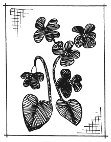 Иллюстрация к книге — Вышиваем гладью цветы и картины [autogen_ebook_id74.jpg]