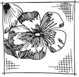 Иллюстрация к книге — Вышиваем гладью цветы и картины [autogen_ebook_id79.jpg]