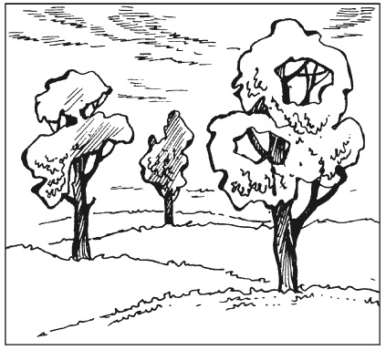 Иллюстрация к книге — Вышиваем гладью цветы и картины [autogen_ebook_id89.jpg]