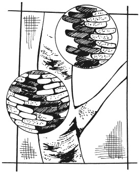 Иллюстрация к книге — Вышиваем гладью цветы и картины [autogen_ebook_id97.jpg]