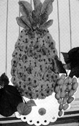 Иллюстрация к книге — Декоративные изделия из природного материала [autogen_ebook_id14.jpg]