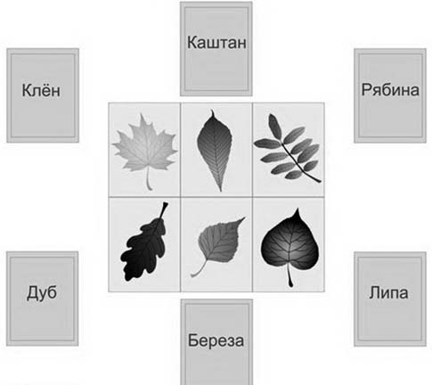 Иллюстрация к книге — Декоративные изделия из природного материала [autogen_ebook_id19.jpg]