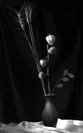 Иллюстрация к книге — Декоративные изделия из природного материала [autogen_ebook_id30.jpg]