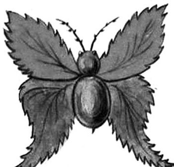 Иллюстрация к книге — Декоративные изделия из природного материала [autogen_ebook_id36.jpg]