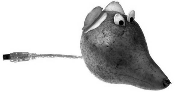 Иллюстрация к книге — Декоративные изделия из природного материала [autogen_ebook_id46.jpg]