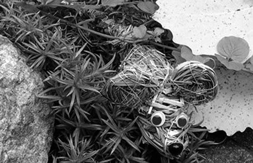 Иллюстрация к книге — Декоративные изделия из природного материала [autogen_ebook_id50.jpg]