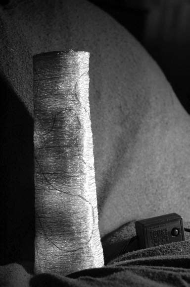 Иллюстрация к книге — Декоративные изделия из природного материала [autogen_ebook_id62.jpg]