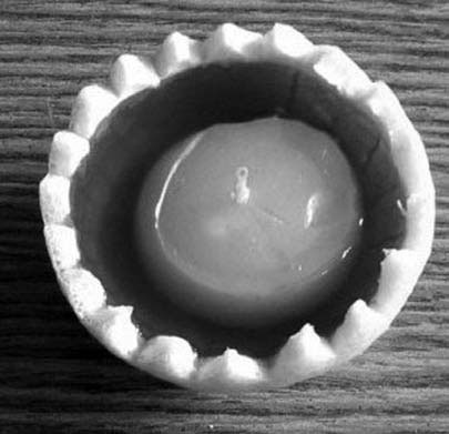 Иллюстрация к книге — Декоративные изделия из природного материала [autogen_ebook_id66.jpg]