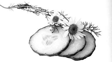 Иллюстрация к книге — Декоративные изделия из природного материала [autogen_ebook_id80.jpg]