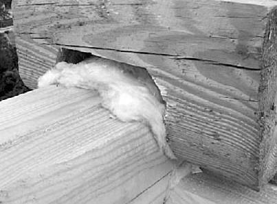 Иллюстрация к книге — Строительство дома быстро и дешево [_116_2.jpg]