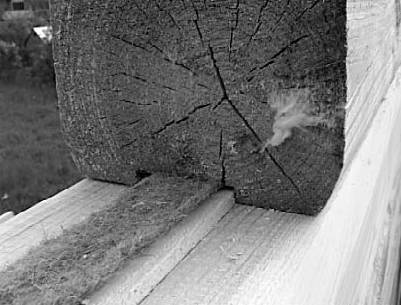 Иллюстрация к книге — Строительство дома быстро и дешево [_117.jpg]