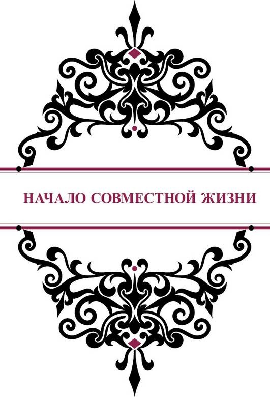 Иллюстрация к книге — История реальной любви. Как легко разрешать конфликты и вернуть любовь в отношения [i_009.jpg]