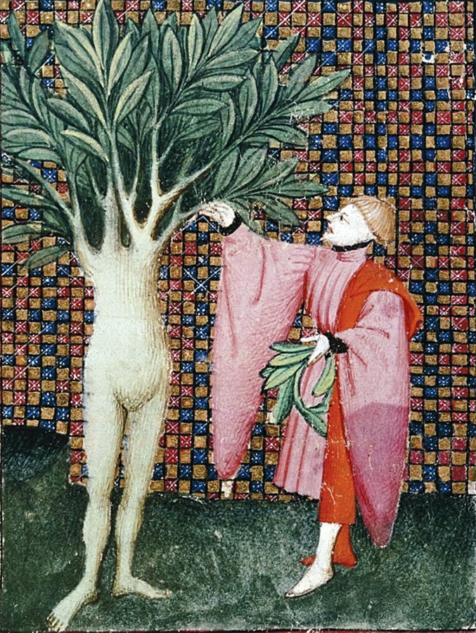 Иллюстрация к книге — Омерзительное искусство. Юмор и хоррор шедевров живописи [i_007.jpg]