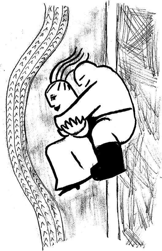 Иллюстрация к книге — Русь сидящая [i_007.jpg]