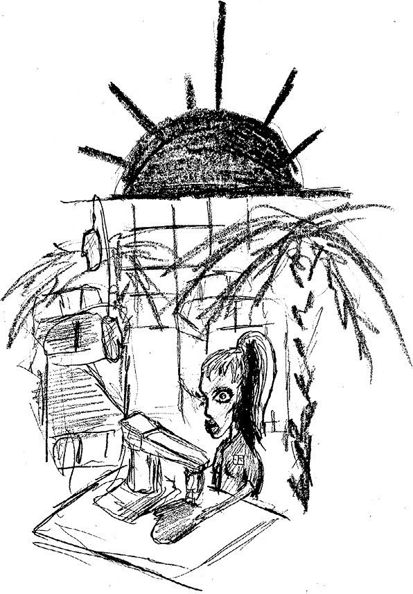 Иллюстрация к книге — Русь сидящая [i_030.jpg]