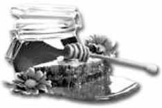 Иллюстрация к книге — 500 советов пчеловоду [i_004.jpg]