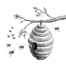 Иллюстрация к книге — Пчеловодство. Первые шаги к прибыльному хозяйству [i_015.jpg]