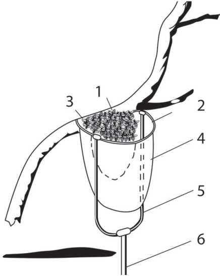 Иллюстрация к книге — Пчеловодство. Первые шаги к прибыльному хозяйству [i_023.jpg]
