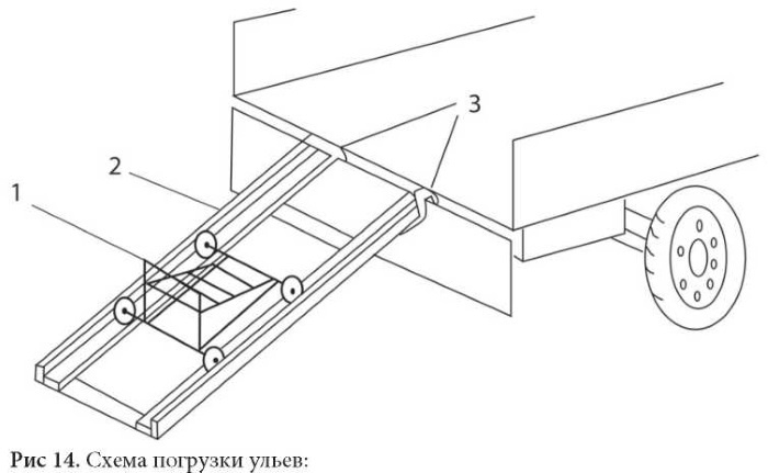 Иллюстрация к книге — Пчеловодство. Первые шаги к прибыльному хозяйству [i_030.jpg]