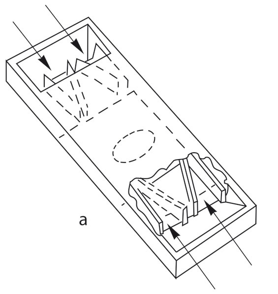 Иллюстрация к книге — Пчеловодство. Первые шаги к прибыльному хозяйству [i_052.jpg]