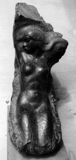 Иллюстрация к книге — Уроки искусного резчика. Вырезаем из дерева фигурки людей и животных, посуду, статуэтки [i_169.jpg]