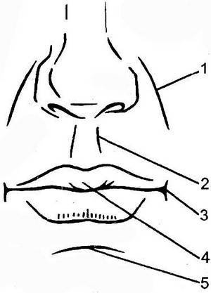 Иллюстрация к книге — Уроки искусного резчика. Вырезаем из дерева фигурки людей и животных, посуду, статуэтки [i_175.jpg]