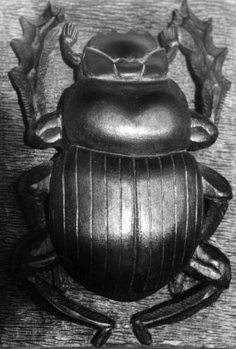 Иллюстрация к книге — Уроки искусного резчика. Вырезаем из дерева фигурки людей и животных, посуду, статуэтки [i_214.jpg]