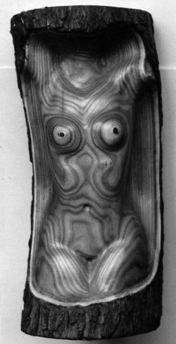 Иллюстрация к книге — Уроки искусного резчика. Вырезаем из дерева фигурки людей и животных, посуду, статуэтки [i_270.jpg]