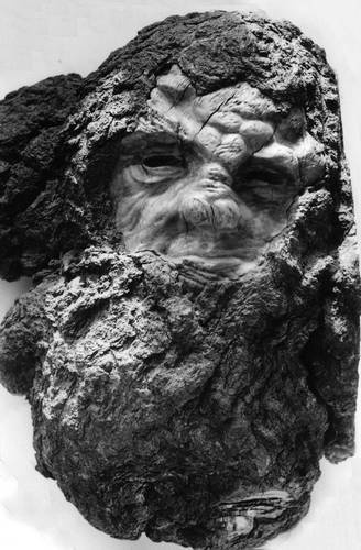 Иллюстрация к книге — Уроки искусного резчика. Вырезаем из дерева фигурки людей и животных, посуду, статуэтки [i_287.jpg]