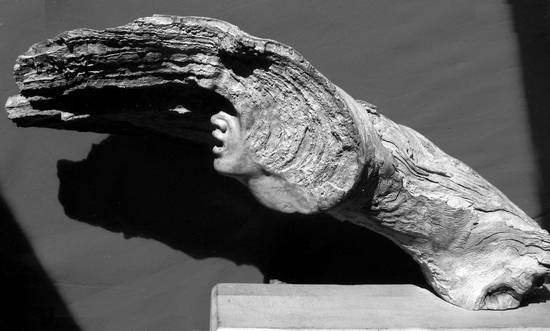 Иллюстрация к книге — Уроки искусного резчика. Вырезаем из дерева фигурки людей и животных, посуду, статуэтки [i_289.jpg]