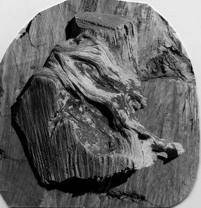 Иллюстрация к книге — Уроки искусного резчика. Вырезаем из дерева фигурки людей и животных, посуду, статуэтки [i_301.jpg]