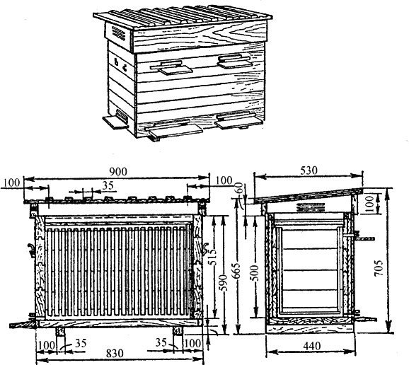 Иллюстрация к книге — Азбука пчеловода. Руководство по разведению пчел на приусадебном участке [_039_1.jpg]