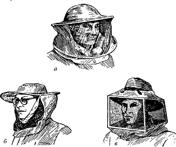 Иллюстрация к книге — Азбука пчеловода. Руководство по разведению пчел на приусадебном участке [_047_1.jpg]