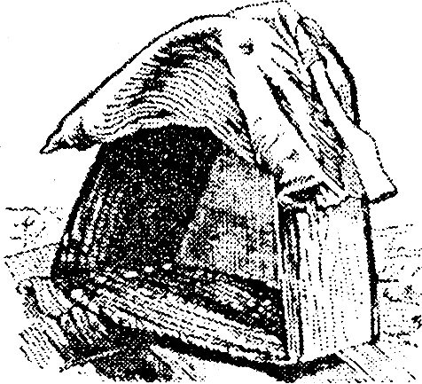 Иллюстрация к книге — Азбука пчеловода. Руководство по разведению пчел на приусадебном участке [_105_1.jpg]