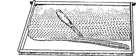 Иллюстрация к книге — Азбука пчеловода. Руководство по разведению пчел на приусадебном участке [_128_1.jpg]