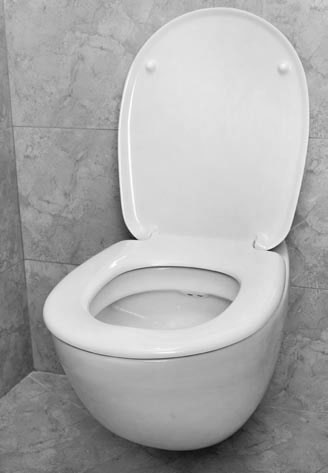 Иллюстрация к книге — Сантехнические работы своими руками. Уроки домашнего мастера [i_072.jpg]