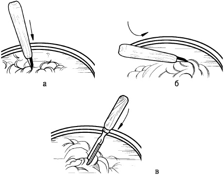 Иллюстрация к книге — Секреты резьбы по дереву [i_106.jpg]