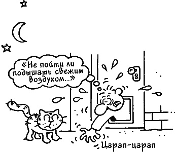 Иллюстрация к книге — Ваш мужчина. Инструкция по эксплуатации [_14.jpg]