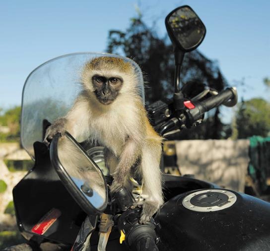 Иллюстрация к книге — Travel-журналистика. Путешествуйте и зарабатывайте [i_004.jpg]