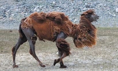 Иллюстрация к книге — Travel-журналистика. Путешествуйте и зарабатывайте [i_006.jpg]