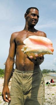 Иллюстрация к книге — Travel-журналистика. Путешествуйте и зарабатывайте [i_038.jpg]