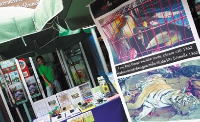 Иллюстрация к книге — Travel-журналистика. Путешествуйте и зарабатывайте [i_062.jpg]