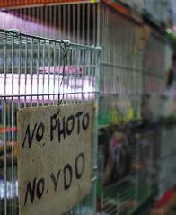 Иллюстрация к книге — Travel-журналистика. Путешествуйте и зарабатывайте [i_063.jpg]