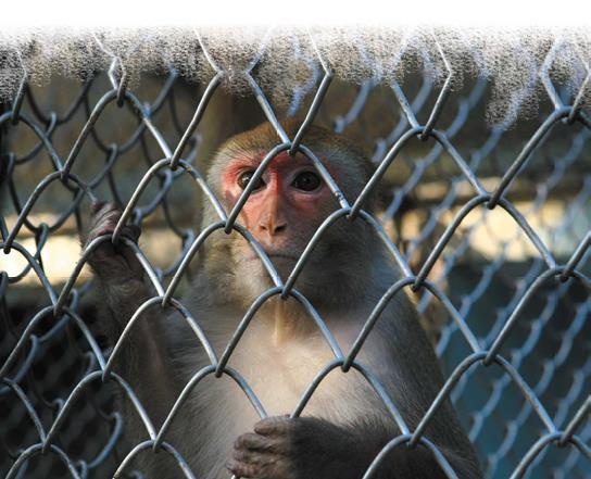 Иллюстрация к книге — Travel-журналистика. Путешествуйте и зарабатывайте [i_077.jpg]