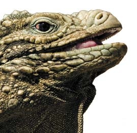 Иллюстрация к книге — Travel-журналистика. Путешествуйте и зарабатывайте [i_087.jpg]