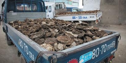 Иллюстрация к книге — Travel-журналистика. Путешествуйте и зарабатывайте [i_088.jpg]