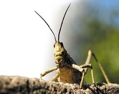 Иллюстрация к книге — Travel-журналистика. Путешествуйте и зарабатывайте [i_101.jpg]